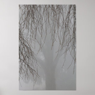 Póster Árbol enmarcando otro árbol en niebla, Ohio