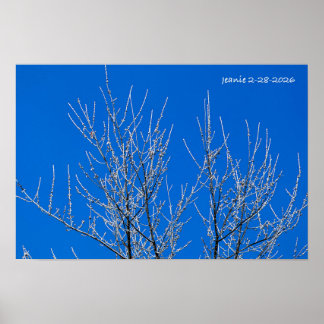 Póster Árbol escarchado