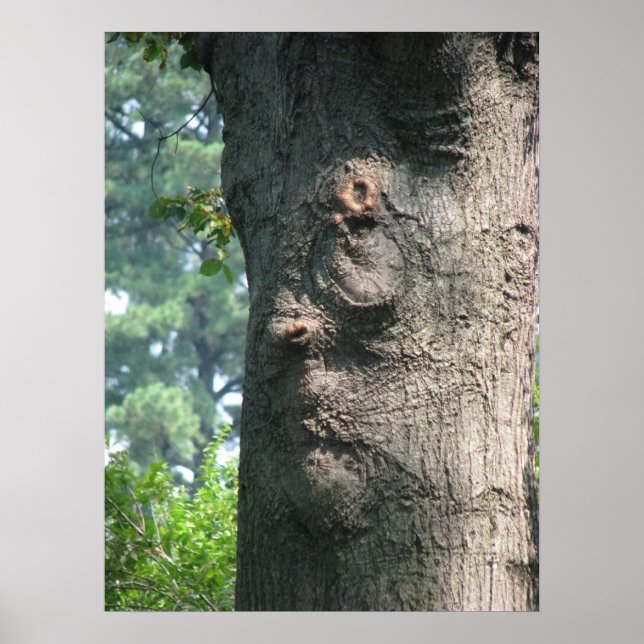 Póster Árbol expresivo (Frente)