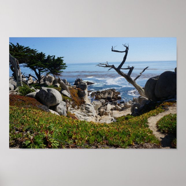 Póster Árbol fantasma - Poster Escenario de 17 Millas de  (Frente)