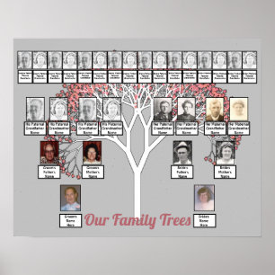 Póster Árbol fractal rosa Blossom Gris Dos Árboles famili