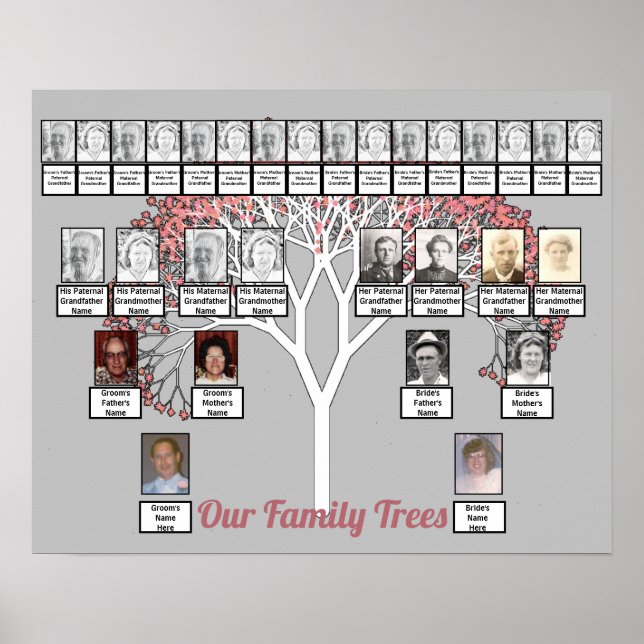 Póster Árbol fractal rosa Blossom Gris Dos Árboles famili (Frente)