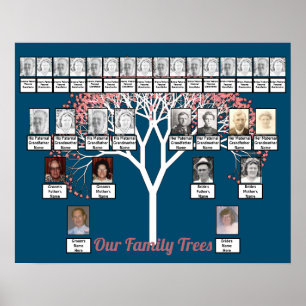 Póster Árbol fractal rosado azul 2 árboles familiares