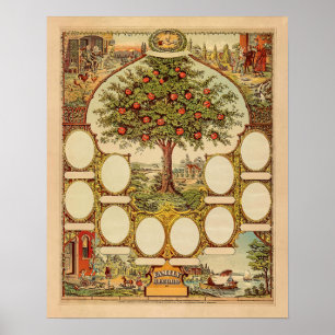 Póster Árbol genealógico vintage