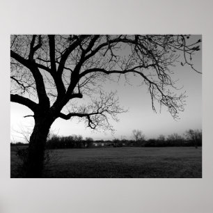 Póster Árbol Gnarled