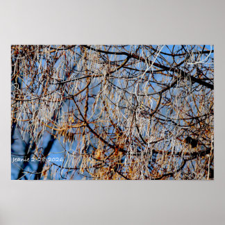 Póster Árbol helado de invierno