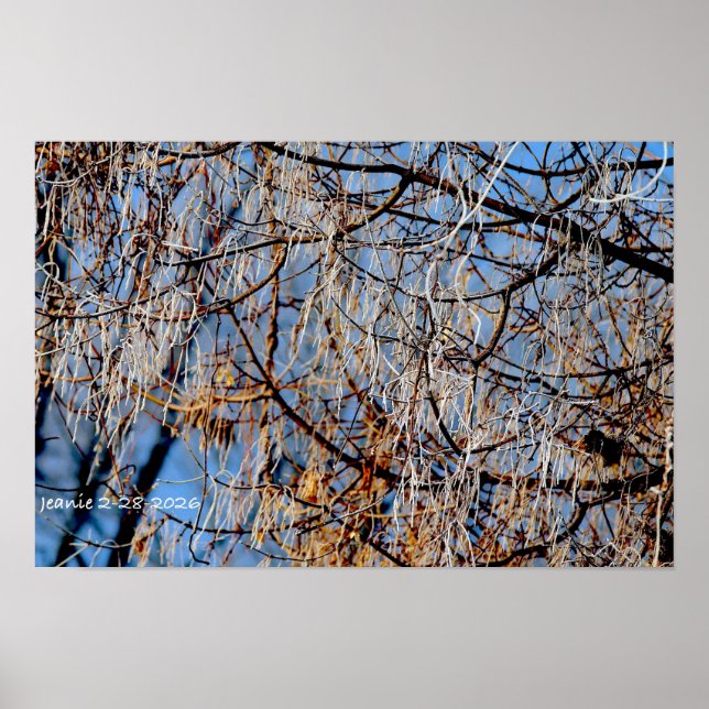 Póster Árbol helado de invierno (Frente)