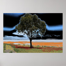 Árbol individual del lago Beeac