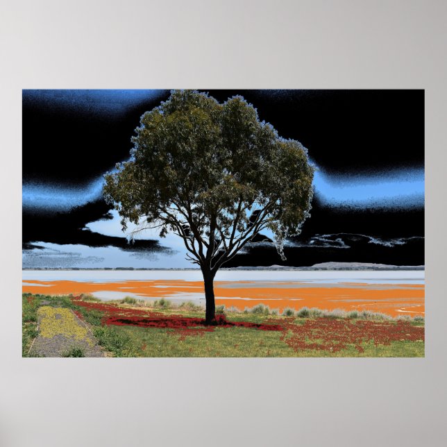 Póster Árbol individual del lago Beeac (Frente)