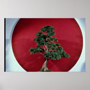 Póster Árbol inspirador de los bonsais