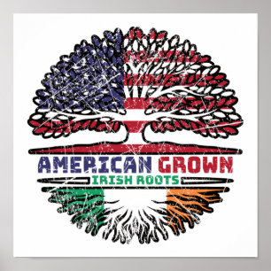 Póster Árbol irlandés de Estados Unidos Estados Unidos Es