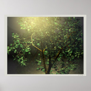 Póster Árbol Japonés Arce 3D