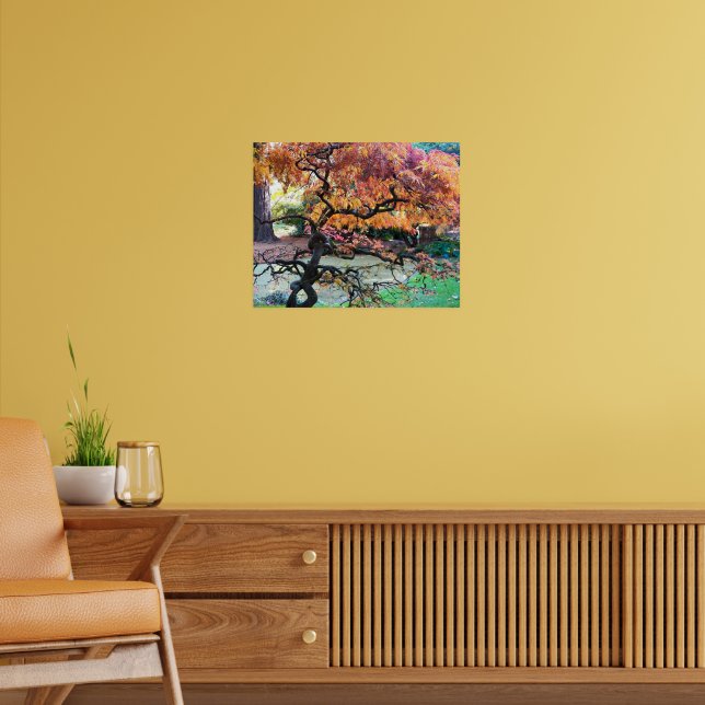 Póster Árbol Japonés de Arce Gnomo de Otoño (Salón 2)
