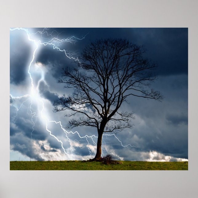 Póster Árbol Lightning (Frente)