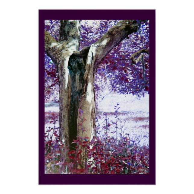 Póster Árbol místico (Anverso)