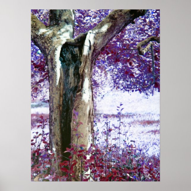 Póster Árbol místico (Frente)