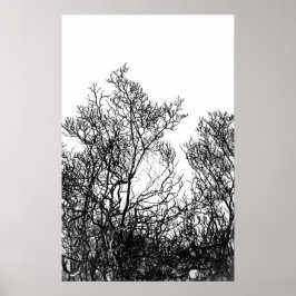 Póster Árbol moderno en blanco y negro artístico