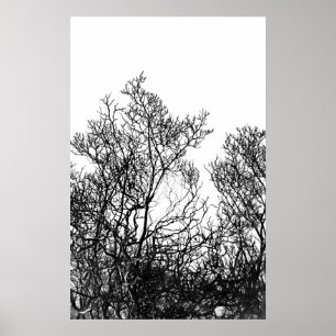 Póster Árbol moderno en blanco y negro artístico