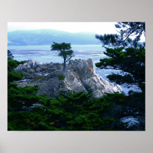 Póster árbol monótono