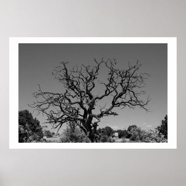 Póster Árbol muerto (Frente)
