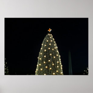 Póster Árbol nacional de Navidad y monumento de Washingto