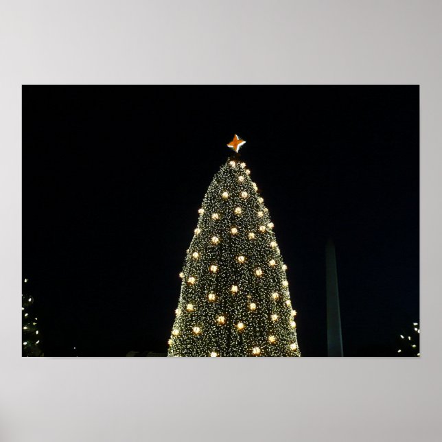 Póster Árbol nacional de Navidad y monumento de Washingto (Frente)