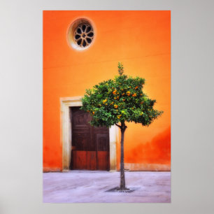 Póster Árbol naranja Muy Bonito