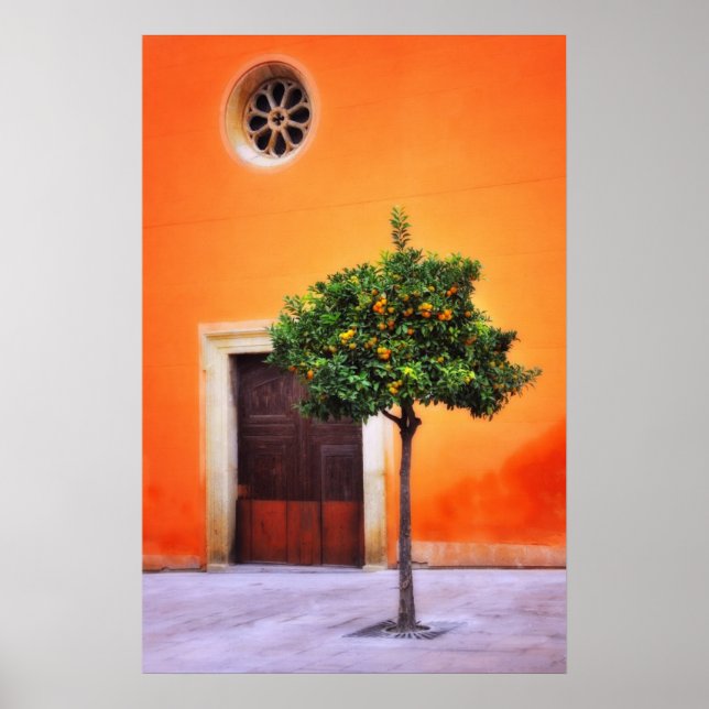 Póster Árbol naranja Muy Bonito (Frente)