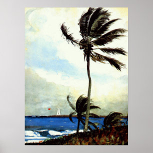 Póster "Árbol-Nassau' de la palma