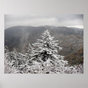 Póster Árbol Nevado