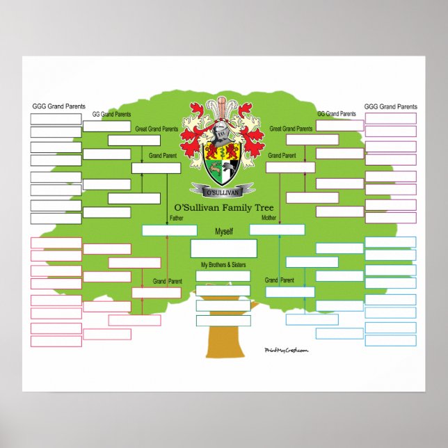Póster Árbol O-Sullivan-Family (Frente)