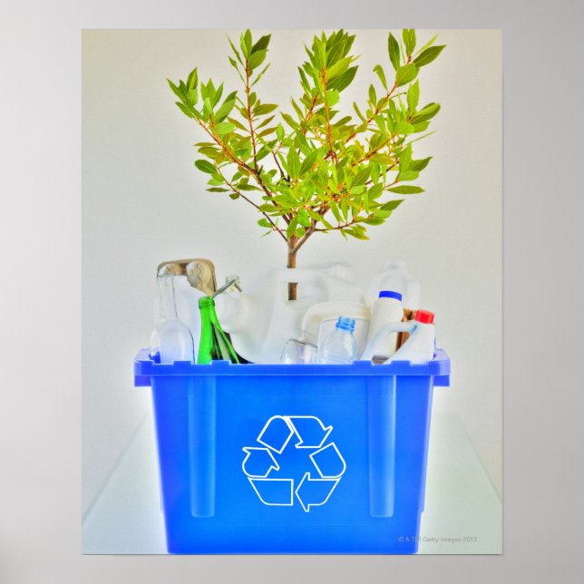 Póster Árbol pequeño (Frente)