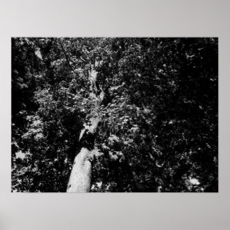 Póster Árbol plano de Londres - B&W