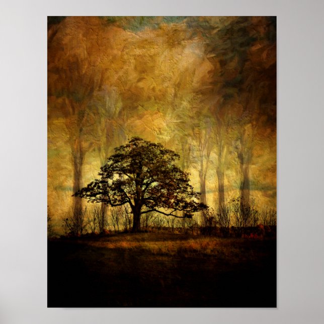 Póster Árbol poster-pacífico (Frente)