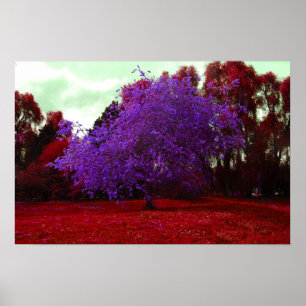 Póster Árbol psicodélico