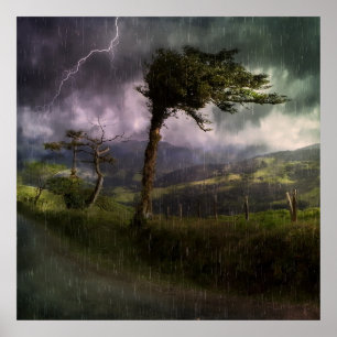 Póster Árbol que sopla en el viento durante una tormenta 