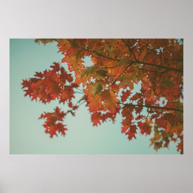 PÓSTER ÁRBOL ROJO (Frente)