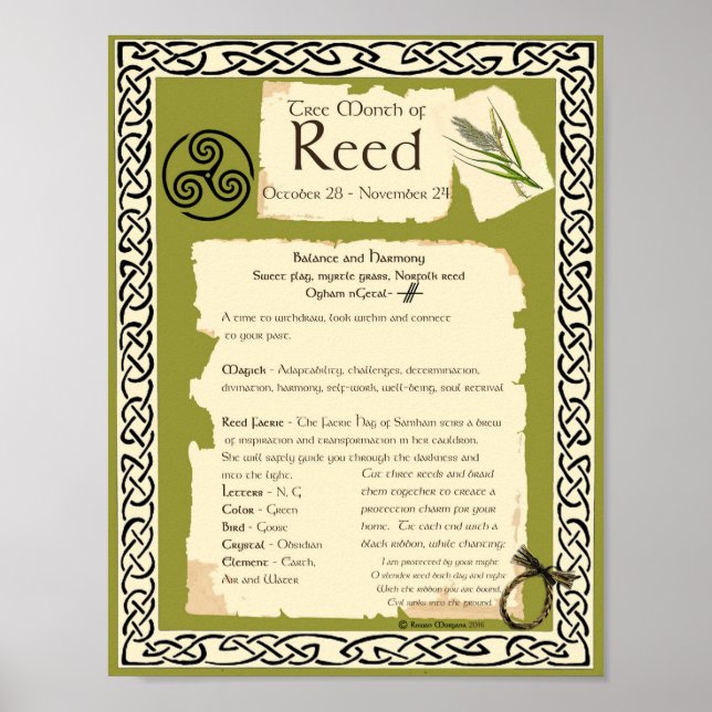 PÓSTER ÁRBOL SAGRADO CELÁTICO REED (Frente)