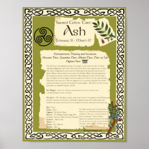 PÓSTER ÁRBOL SAGRADO CÉLTICO DE ASH