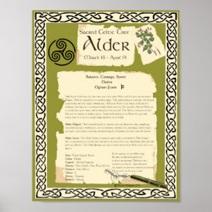 PÓSTER ÁRBOL SAGRADO DE ALDER CELTIC