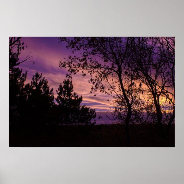 Póster Árbol Silueta Cielo Crepuscular Púrpura  (Frente)