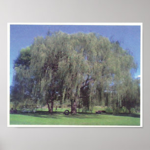 Póster Árbol silvestre grande