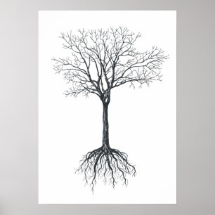 Póster Árbol sin hojas