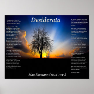 Póster Árbol solitario