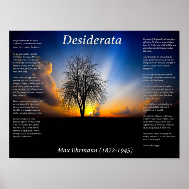 Póster Árbol solitario (Frente)