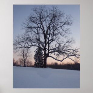 Póster Árbol solitario