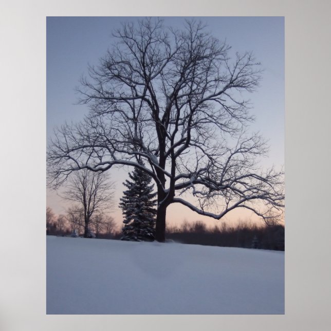 Póster Árbol solitario (Frente)