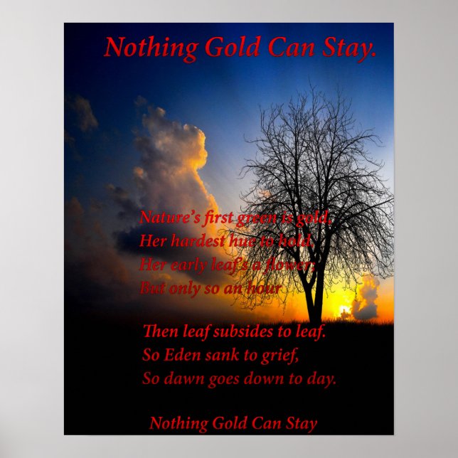 Póster Árbol solitario (Frente)