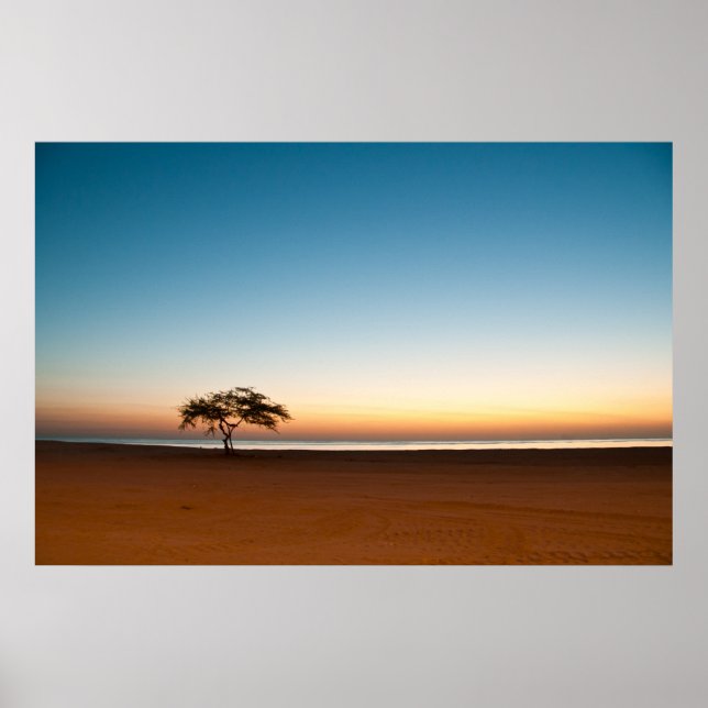 Póster Árbol solitario al amanecer en Kuwait (Frente)