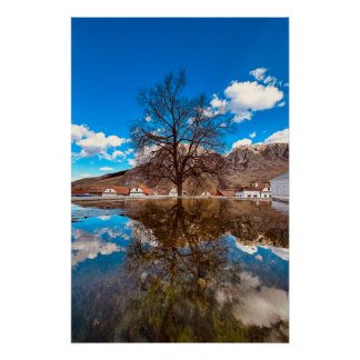 Póster Árbol solitario cerca del agua